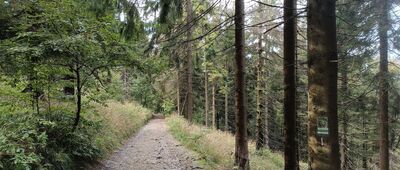 Rozejście szlaków ↔ Koliba Roberta