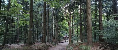 Stefanka ↔ Równia pod Kozią