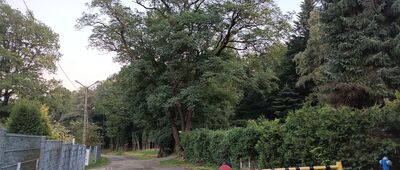 Bielsko-Biała, ul. Pocztowa ↔ Równia pod Kozią