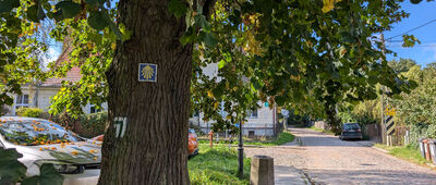 Gdańsk, ul. Świerkowa