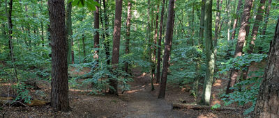 Odejście do widoku I (dwór)