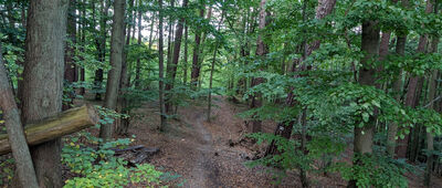 Głowica ↔ Samborowo