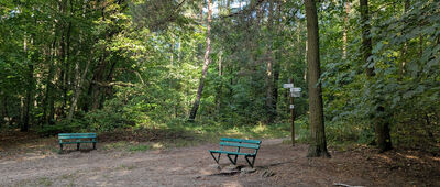 Odejście do Głazu Borkowskiego