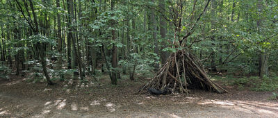 Odejście do Głazu Borkowskiego