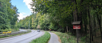 Odejście do Głazu Borkowskiego ↔ Gdańsk, Brętowo, ul. Słowackiego