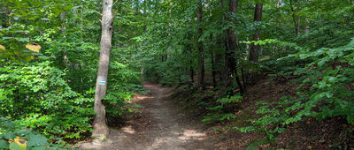 Gdańsk, Matemblewo, pętla autobusowa ↔ Skrzyżowanie szlaków zielony / niebieski / żółty