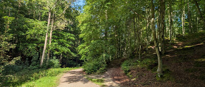 Skrzyżowanie szlaków zielony / niebieski / żółty