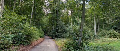 Gdańsk, ul. Słowackiego ↔ Gdańsk, Matemblewo