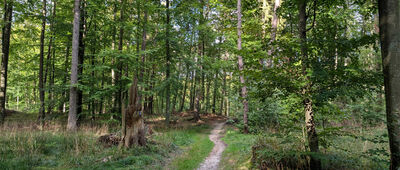 Dolina Wężów ↔ Szwedzka Grobla