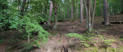 Pomnik gen. Ericha Feldtkellera ↔ Dolina Wężów