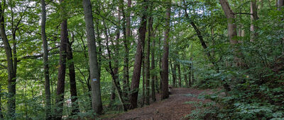 Pomnik gen. Ericha Feldtkellera