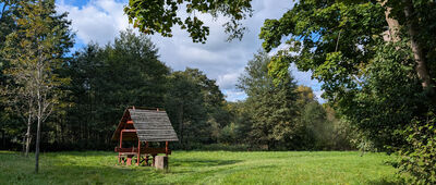 Kuźnia Wodna, rozejście szlaków ↔ Dolina Wężów