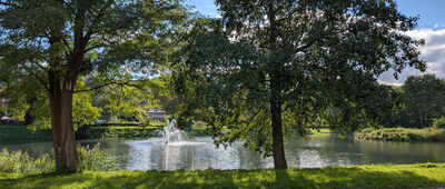 Gdańsk, Oliwa, ul. Spacerowa