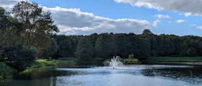 Gdańsk, Oliwa, ul. Spacerowa ↔ Gdańsk, Oliwa, ul. Kwietna