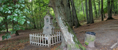 Gdańsk Oliwa, kościół św. Jakuba ↔ Wzgórze Bitwy Oliwskiej