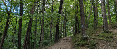 Wzgórze Bitwy Oliwskiej