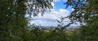 Skrzyżowanie szlaków zielony / niebieski ↔ Wzgórze Bitwy Oliwskiej