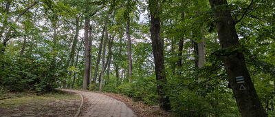 Wzgórze Bitwy Oliwskiej