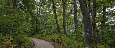 Wzgórze Bitwy Oliwskiej