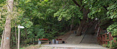 Pachołek ↔ Gdańsk, Oliwa, ul. Spacerowa