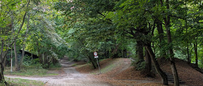 Jaśkowa Dolina ↔ Dolina Królewska