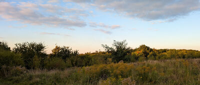 Dolina Królewska ↔ Góra Suchańska