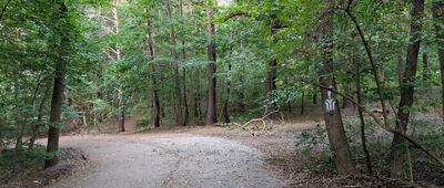 Skrzyżowanie szlaków czerwony / niebieski