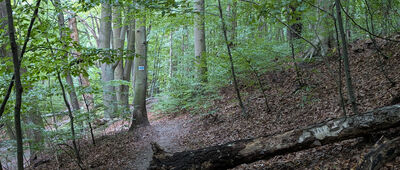 Skrzyżowanie szlaków ↔ Rozejście szlaków