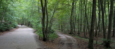 Sopot, Osiedle Kolberga ↔ Gdynia, ul. Sopocka