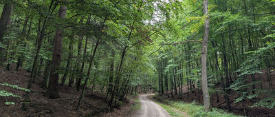 Droga Wielkokacka ↔ Wielka Gwiazda