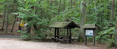 Dolina Gołębiewska