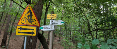 Dolina Gołębiewska