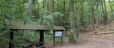 Dolina Gołębiewska