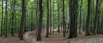 Pod Łysą Górą ↔ Mała Gwiazda