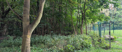 Skrzyżowanie pod Borsuczą Głową ↔ Sopot, Morskie Oko