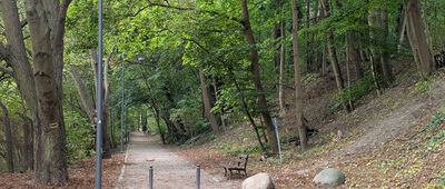 Skrzyżowanie pod Borsuczą Głową ↔ Sopot, Morskie Oko