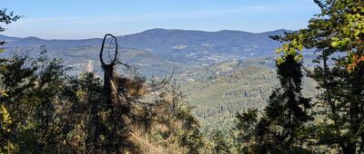 Schronisko PTTK na Stożku ↔ Pod Kyrkawicą [Beskid Śląski - widok w kierunku Skrzycznego i Malinowskiej Skały]