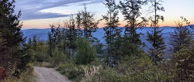 Pod Wielkim Stożkiem ↔ Schronisko PTTK na Stożku [Beskid Śląski - na szlaku ze Stożka do Wisły Łabajów]