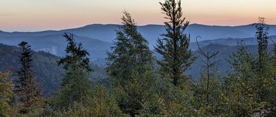 Pod Wielkim Stożkiem ↔ Wisła, ul. Dworcowa [Beskid Śląski - na szlaku ze Stożka do Wisłły Łabajów - widok w kierunku Skrzycznego]