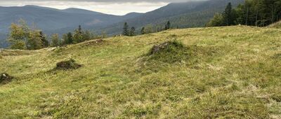 Sulowa Cyrhla ↔ Kolista Polana