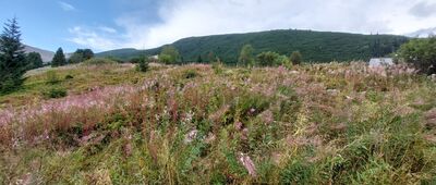 Betlejemka ↔ Schronisko PTTK Murowaniec