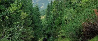 Przełęcz między Kopami (Karczmisko) ↔ Betlejemka