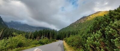 Wodogrzmoty Mickiewicza, odejście do Roztoki ↔ Odejście na Kępę