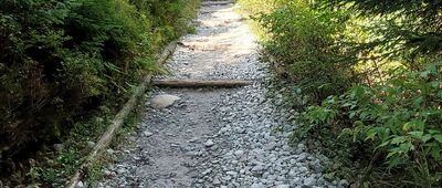 Schronisko PTTK w Dolinie Roztoki ↔ Wodogrzmoty Mickiewicza, odejście do Roztoki