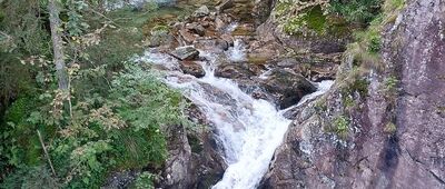 Wodogrzmoty Mickiewicza