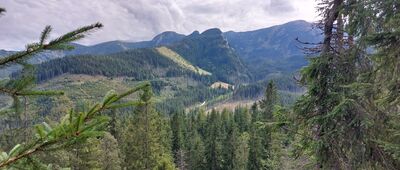 Przełęcz Białego ↔ Skrzyżowanie przy Kalatówkach