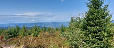 Rozdziele ↔ Turbacz