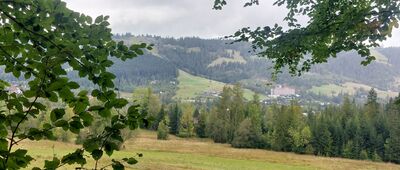 Za Bramką ↔ Dolina Strążyska, parking