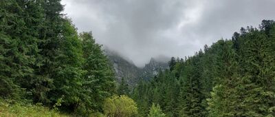 Polana Strążyska, odejście szlaku żółtego