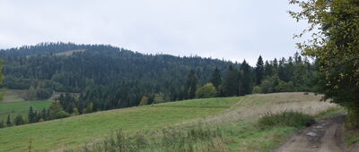 Rabka-Zdrój, ul. Parkowa ↔ Maciejowa